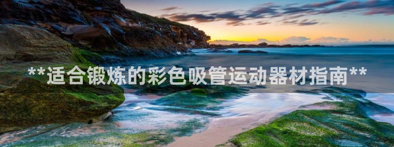 意昂体育3平台APP：**适合锻炼的彩色吸管运动器材