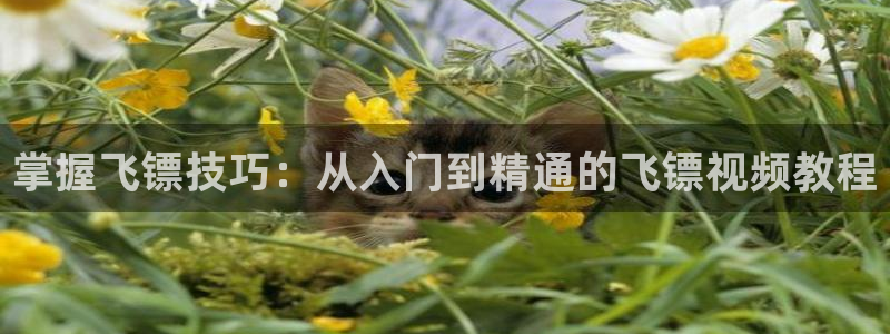 意昂3官方：掌握飞镖技巧：从入门到精通的飞镖视频教程