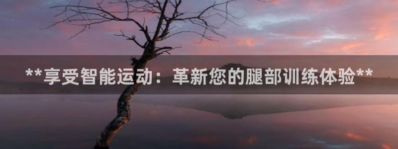 意昂3娱乐代理怎么样：**享受智能运动：革新您的腿部