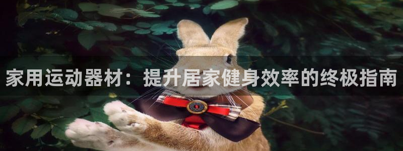 意昂体育3招商电话号码是多少号：家用运动器材：提升居