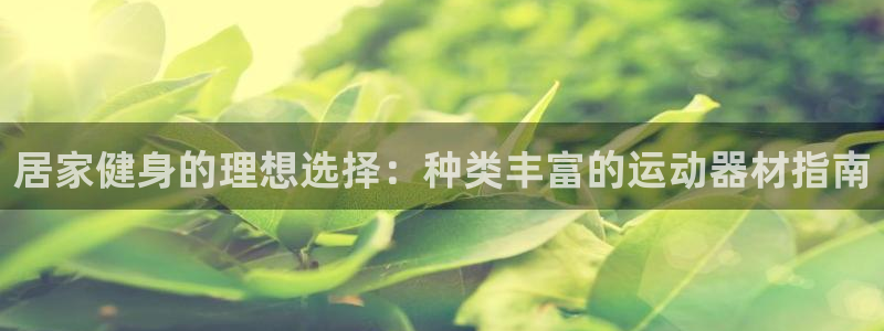 意昂3官方：居家健身的理想选择：种类丰富的运动器材指