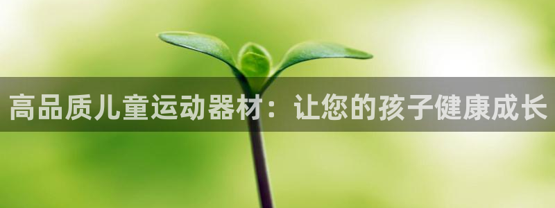 意昂体育3招商电话号码：高品质儿童运动器材：让您的孩