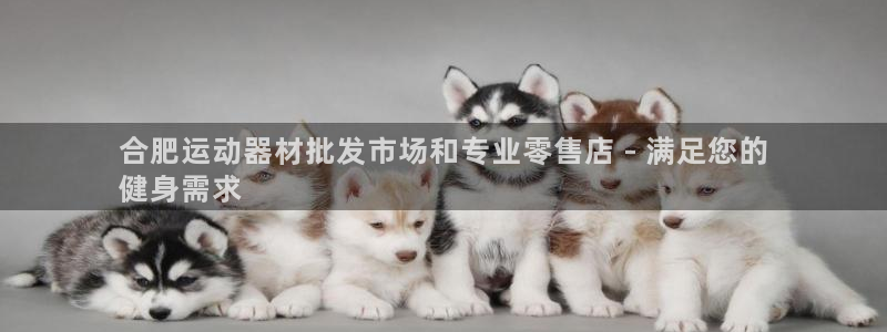 意昂体育3注册：合肥运动器材批发市场和专业零售店 -