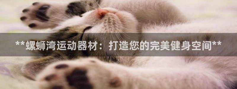 意昂体育3招商电话号码是多少：**螺蛳湾运动器材：打