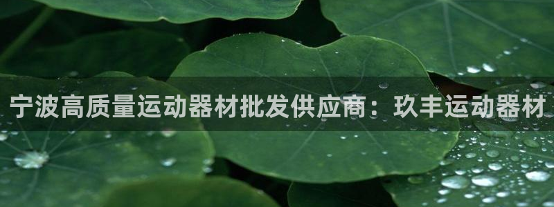 意昂体育3平台注册流程视频：宁波高质量运动器材批发供