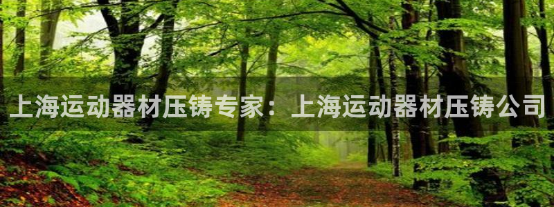 意昂体育3软件：上海运动器材压铸专家：上海运动器材压