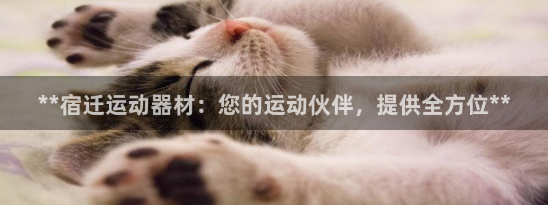 注册意昂3：**宿迁运动器材：您的运动伙伴，提供全方