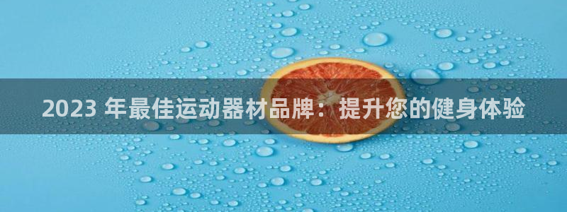 意昂3娱乐首页官网下载：2023 年最佳运动器材品牌