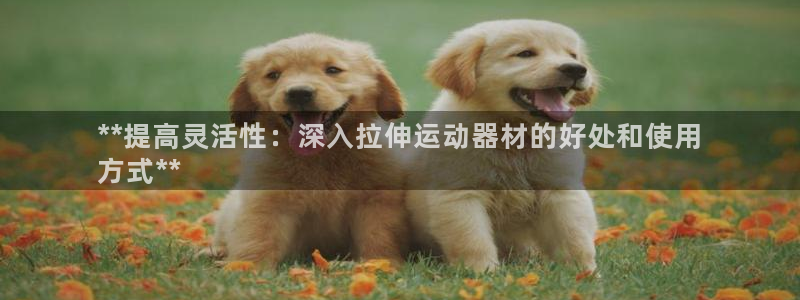 意昂体育3招商电话号码是多少：**提高灵活性：深入拉