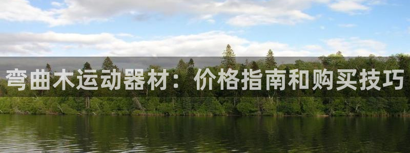 海南意昂体育3：弯曲木运动器材：价格指南和购买技巧