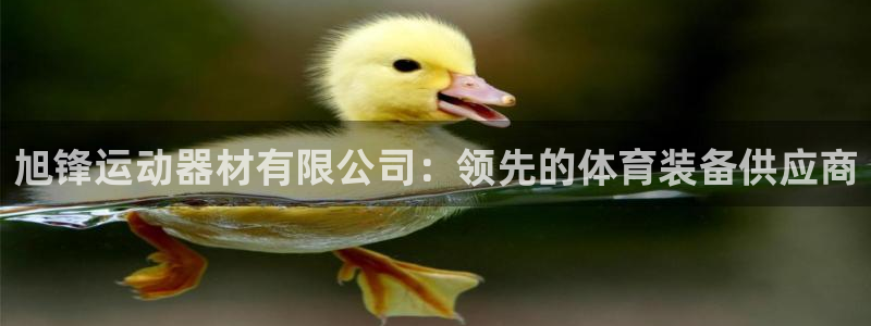 意昂体育3平台注册流程图：旭锋运动器材有限公司：领先