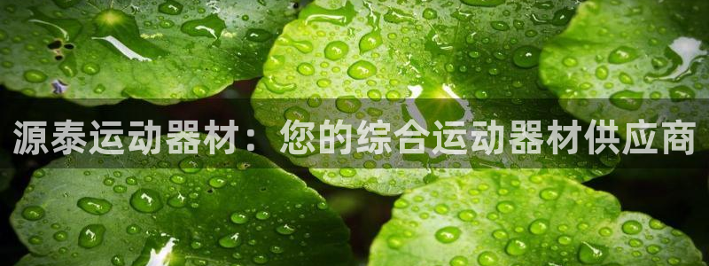 注册意昂3：源泰运动器材：您的综合运动器材供应商