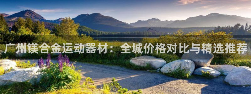 意昂体育3平台注册流程视频：广州镁合金运动器材：全城