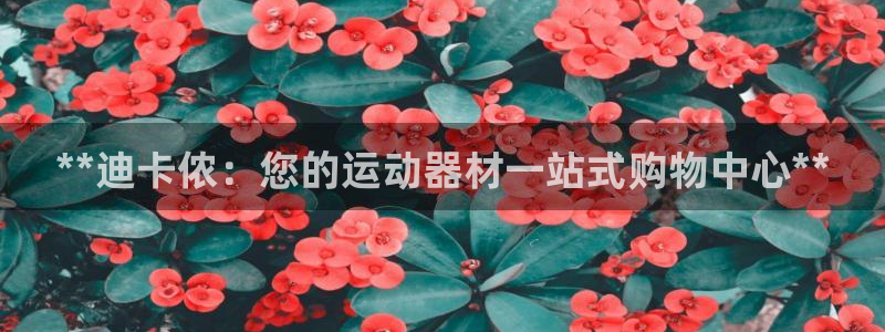 意昂体育3招商电话地址是多少：**迪卡侬：您的运动器