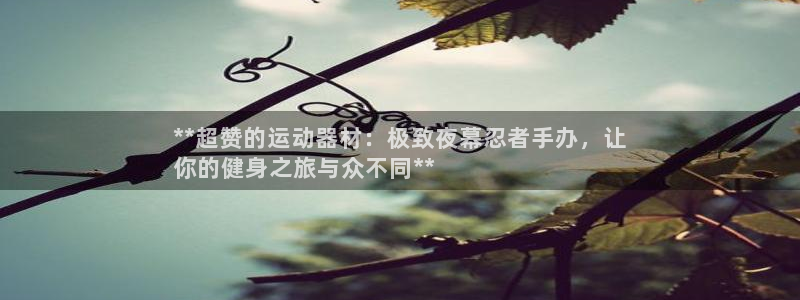德国意昂3集团：**超赞的运动器材：极致夜幕忍者手办