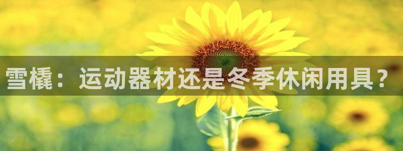 意昂体育3招商电话地址是多少：雪橇：运动器材还是冬季