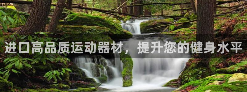 意昂体育3招商电话地址：进口高品质运动器材，提升您的
