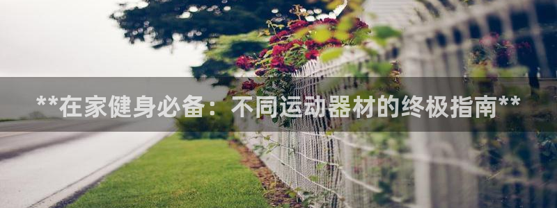 意昂体育3注册：**在家健身必备：不同运动器材的终极