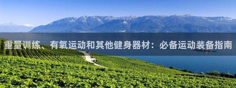 意昂集团官网：重量训练、有氧运动和其他健身器材：必备