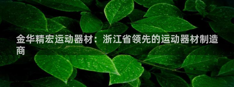 意昂平台体育：金华精宏运动器材：浙江省领先的运动器材
