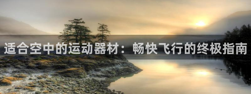 意昂3集团logo：适合空中的运动器材：畅快飞行的终