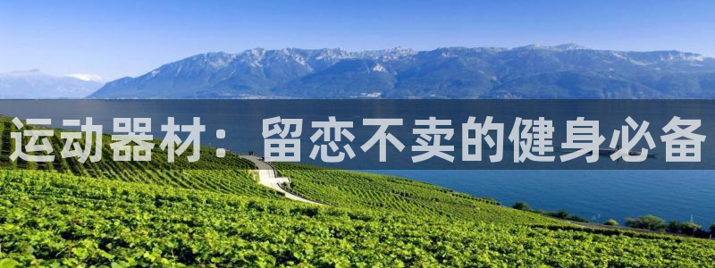 意昂3集团E.ON
