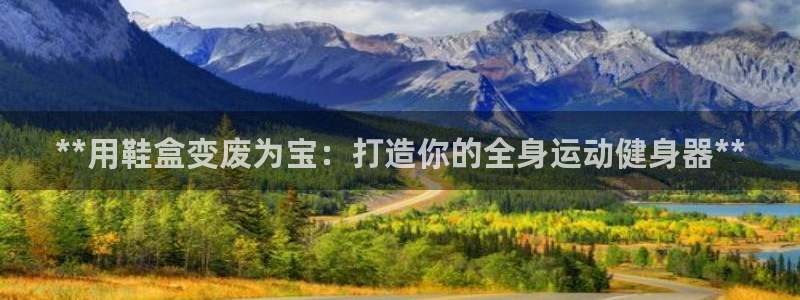 意昂3官方：**用鞋盒变废为宝：打造你的全身运动健身