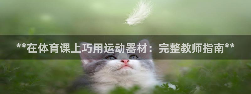 意昂3五金厂：**在体育课上巧用运动器材：完整教师指