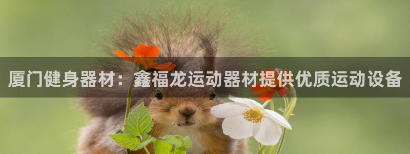 意昂3集团官网首页：厦门健身器材：鑫福龙运动器材提供