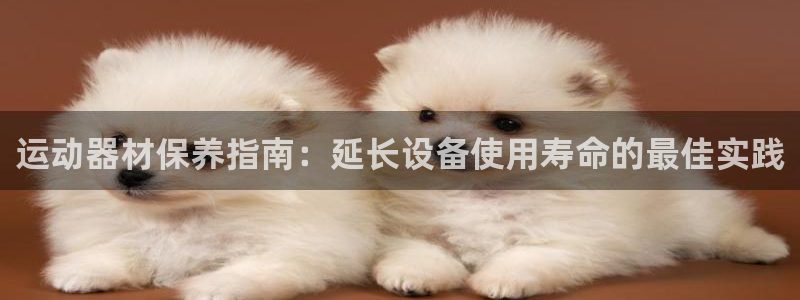 意昂3娱乐平台：运动器材保养指南：延长设备使用寿命的