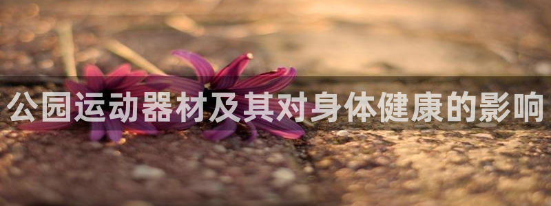 意昂体育3平台APP：公园运动器材及其对身体健康的影