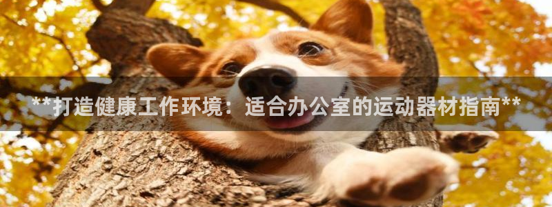 意昂3集团简介：**打造健康工作环境：适合办公室的运
