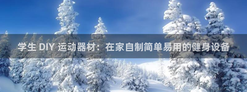 意昂体育3招商电话地址：学生 DIY 运动器材：在家