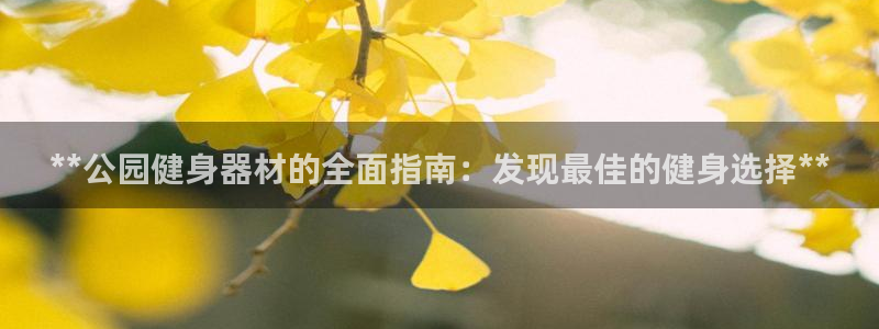 意昂3五金厂：**公园健身器材的全面指南：发现最佳的