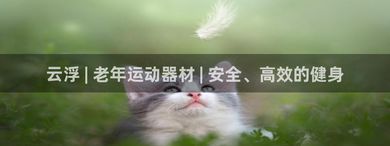 意昂体育3平台注册要钱吗安全吗：云浮 | 老年运动器