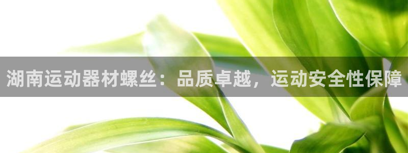 意昂体育3招商电话地址是多少：湖南运动器材螺丝：品质