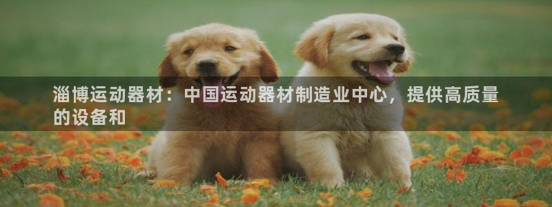 意昂体育3娱乐：淄博运动器材：中国运动器材制造业中心