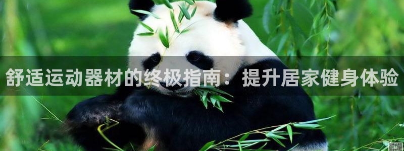 意昂3娱乐是那个系列的台子：舒适运动器材的终极指南：