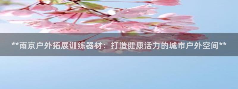 意昂体育3招商电话是多少号码：**南京户外拓展训练器
