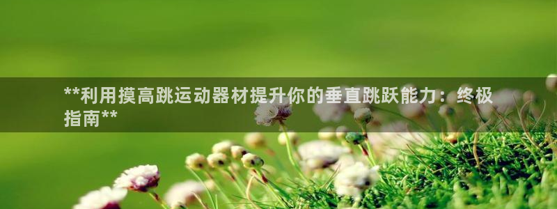 意昂3新能源：**利用摸高跳运动器材提升你的垂直跳跃
