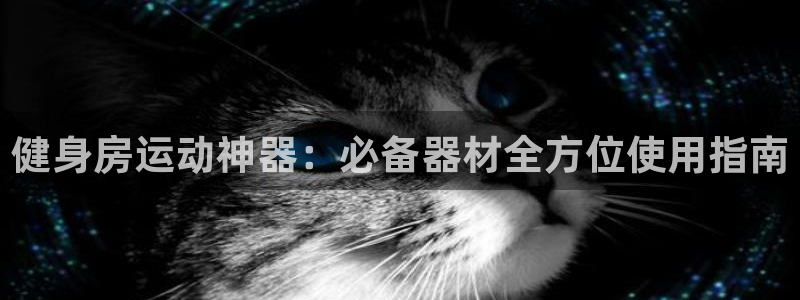 意昂3集团官网首页网址：健身房运动神器：必备器材全方位使用指