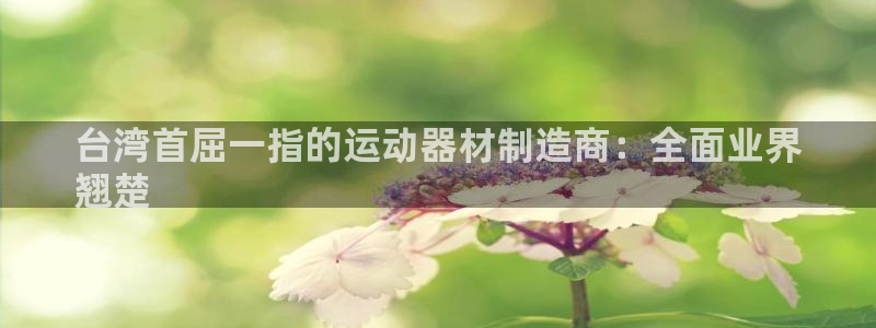 意昂体育3平台是正规平台吗知乎：台湾首屈一指的运动器