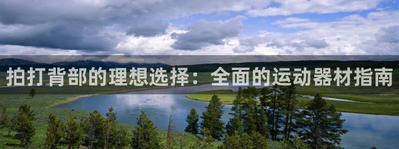 意昂3娱乐网站：拍打背部的理想选择：全面的运动器材指