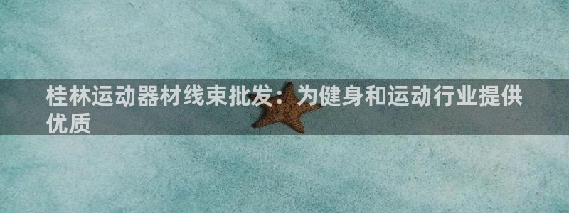 意昂体育3软件：桂林运动器材线束批发：为健身和运动行
