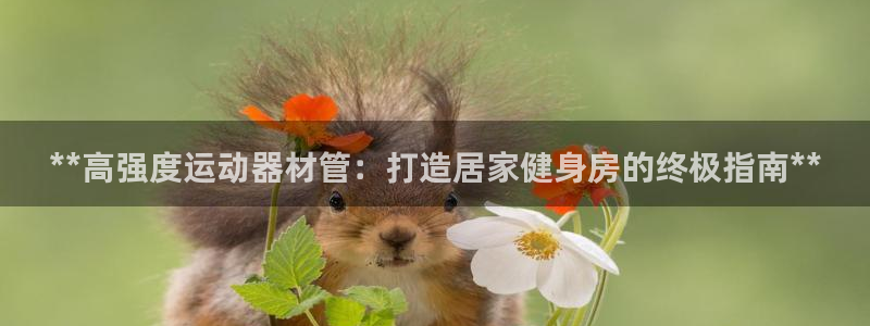 意昂体育3平台假的吗是真的吗吗：**高强度运动器材管