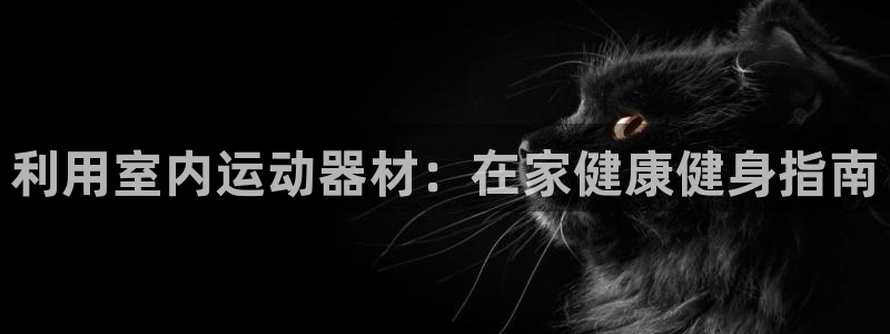 意昂体育3开户：利用室内运动器材：在家健康健身指南