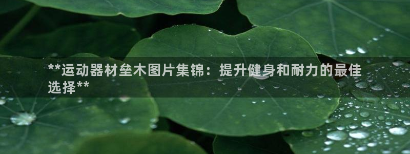 意昂3科技：**运动器材垒木图片集锦：提升健身和耐力