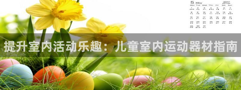 意昂体育3平台注册要钱吗安全吗：提升室内活动乐趣：儿