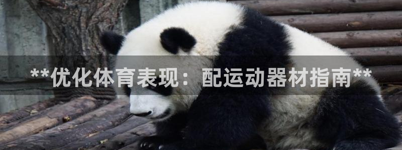 意昂3娱乐网站：**优化体育表现：配运动器材指南**