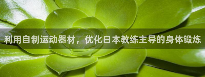 意昂3娱乐下载：利用自制运动器材，优化日本教练主导的身体锻炼